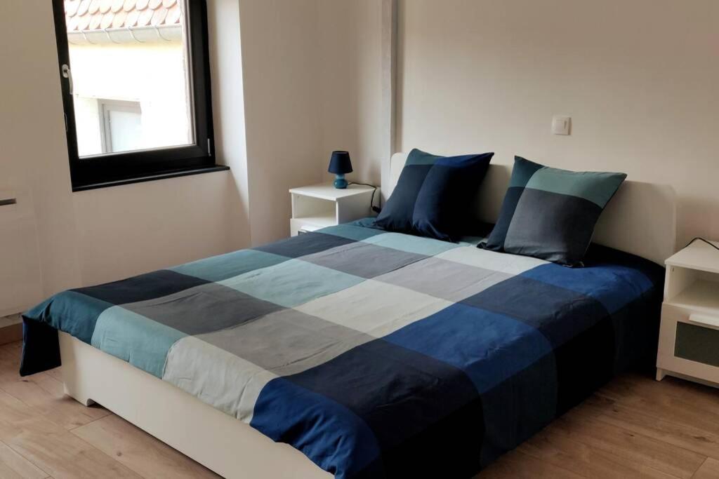 Le Blue, Appartement De Standing En Hyper-Centre Sarreguemines Eksteriør billede